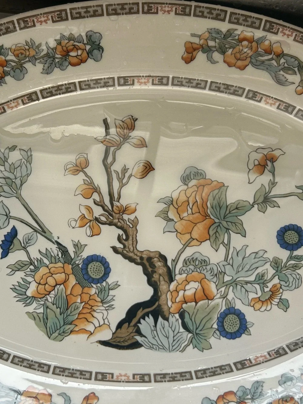 Restaurant ware Indian tree by syracuse Oval Serving Platter with Gold Trim
